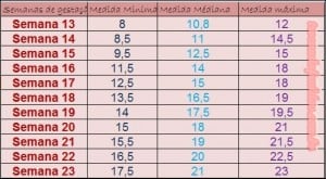 Altura uterina - Qué significa en el embarazo | Famivita