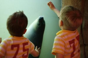 Crianças em um aquário