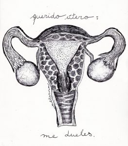 O Que e Menstruacao Duvidas e Transformações 1
