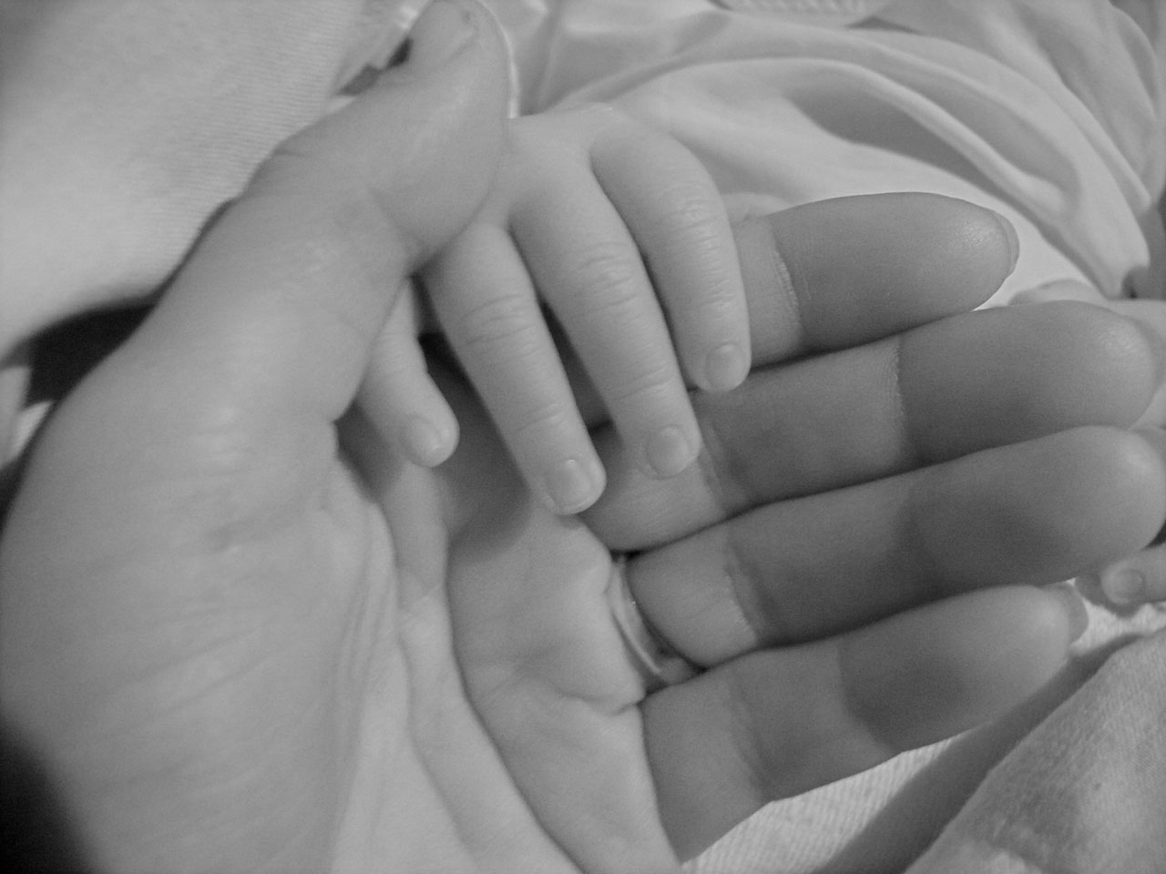 Plano de Parto ou Plano Maternidade - Opção Para Gestantes | Famivita Plano de Parto ou Plano Maternidade - Opção Para Gestantes | Famivita