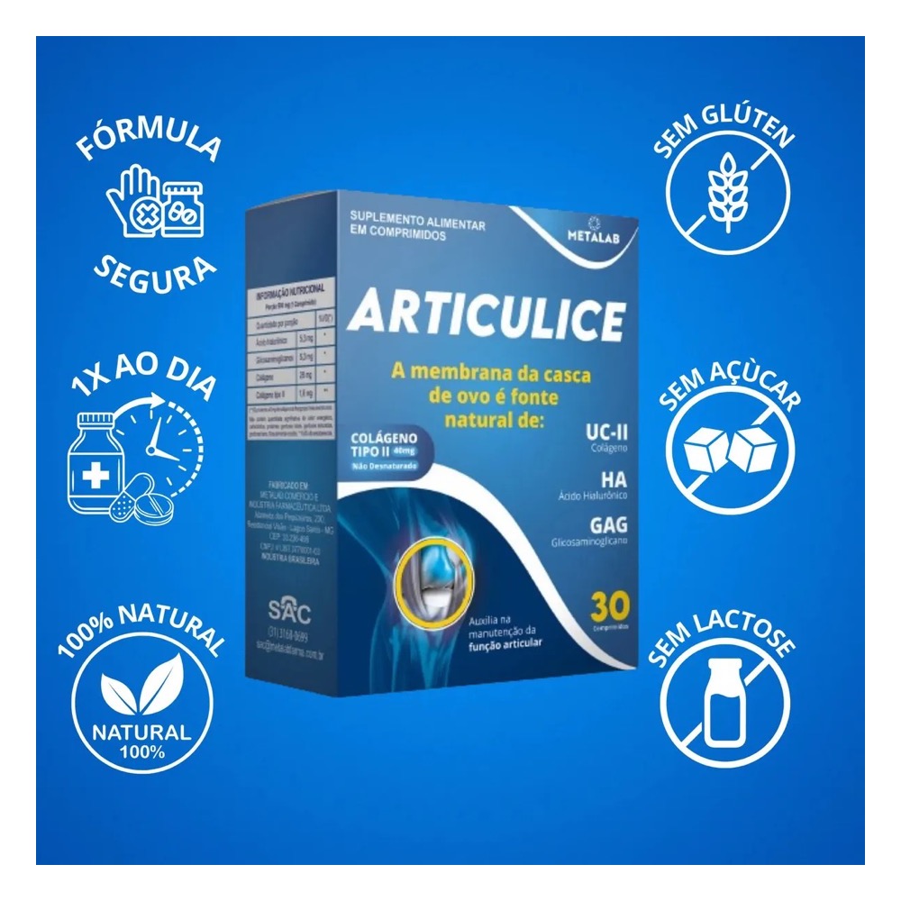 Articulice - Imagem 3