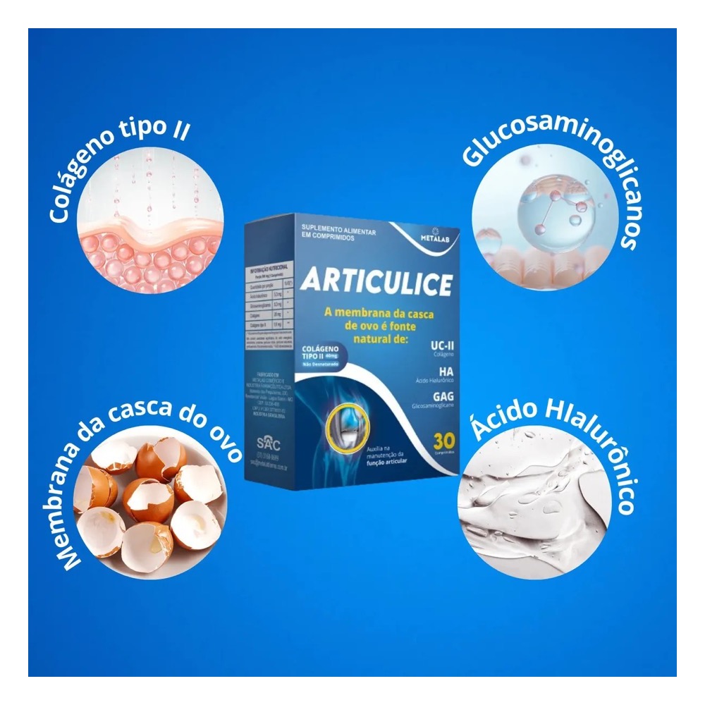 Articulice - Imagem 4